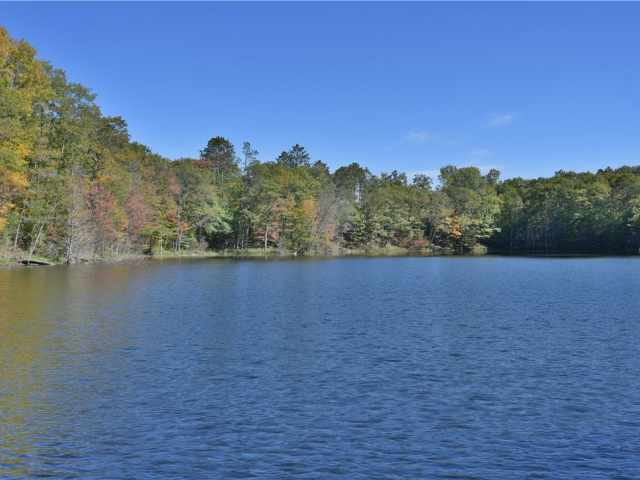 Stone Lake Residential Real Estate
