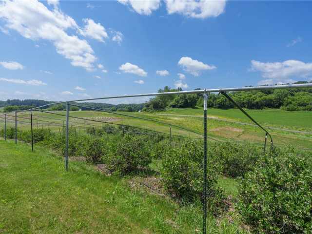 Fall Creek Residential Real Estate